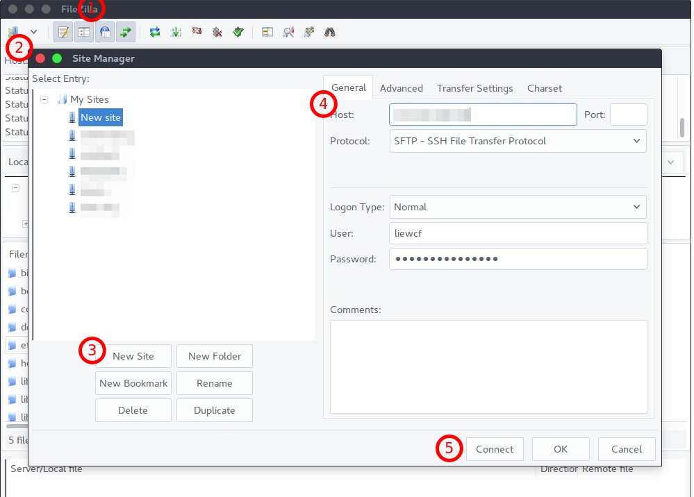 Filezilla SFTP via Password