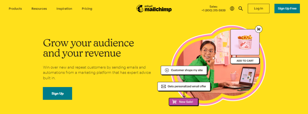 mailchimp homepage