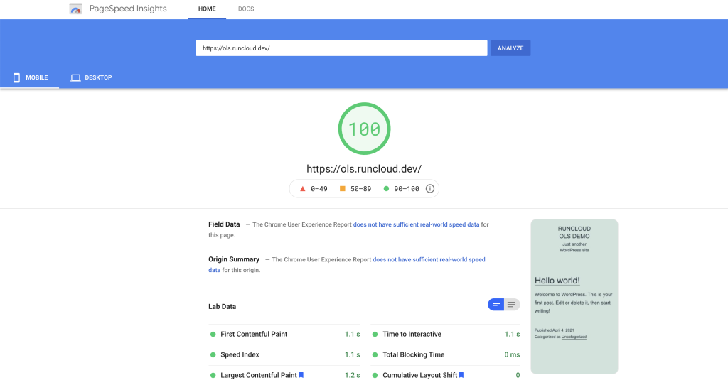 Google PageSpeed Insights OpenLiteSpeed