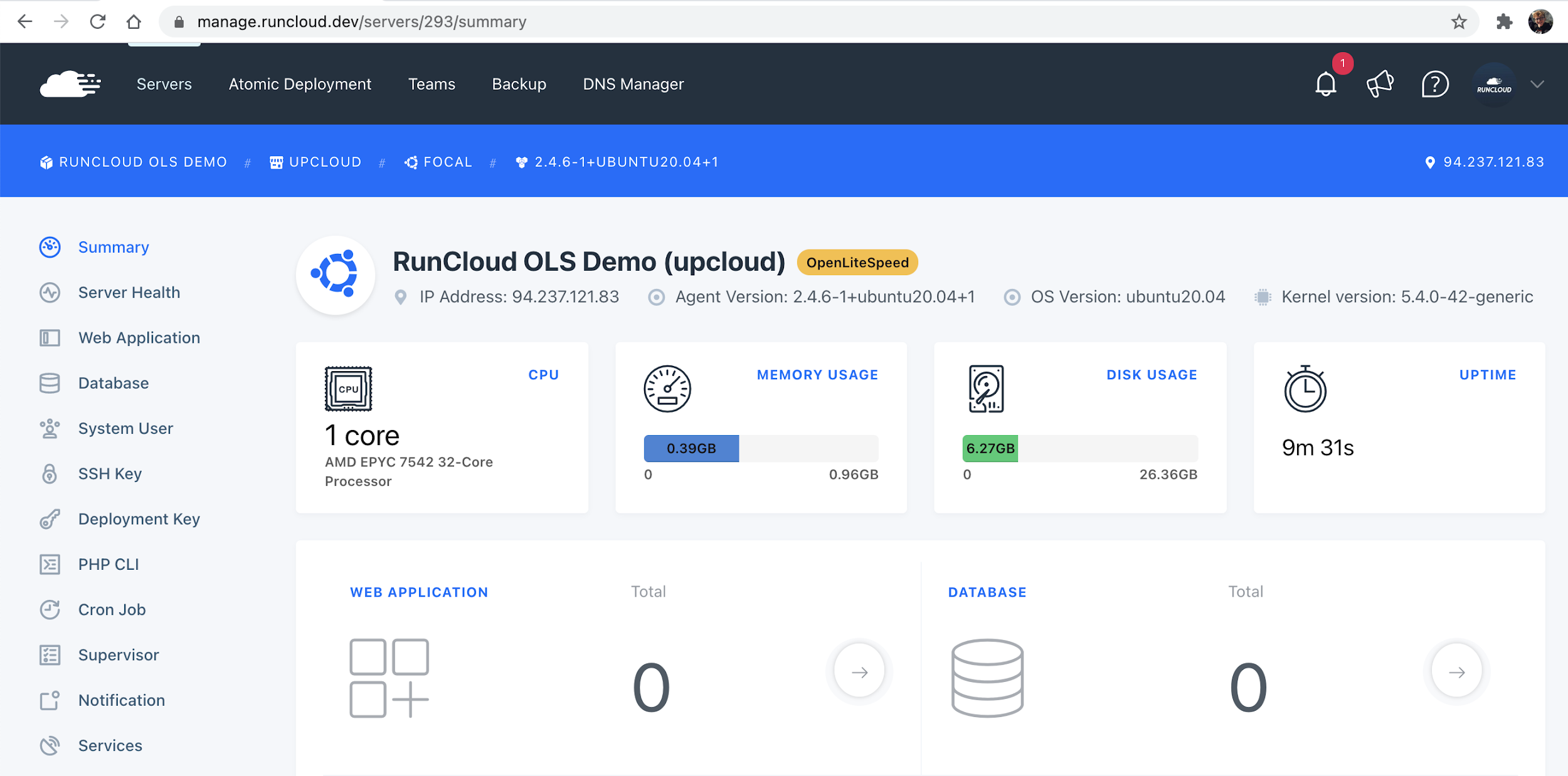 RunCloud Server Dashboard