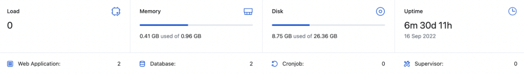 server details in runcloud dashboard