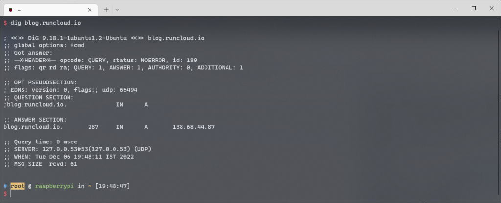 using dig command variation 1