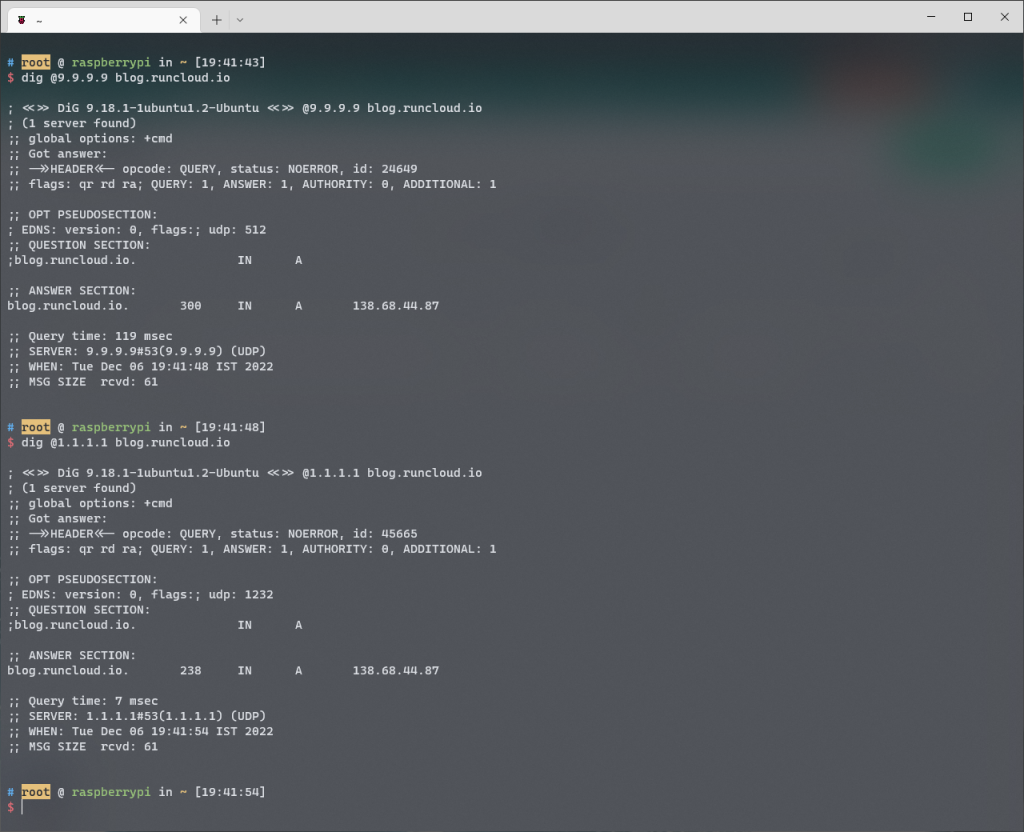 using dig command variation 2