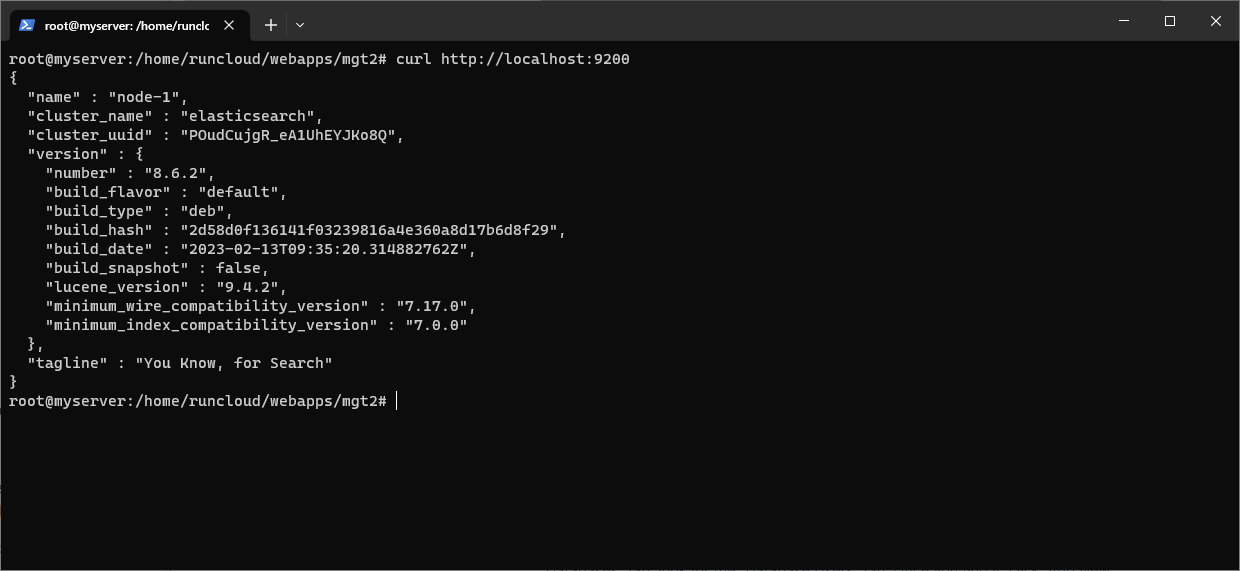 curl request to Elasticsearch on localhost in terminal