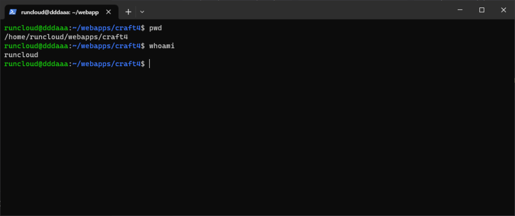 Craft CMS installation terminal