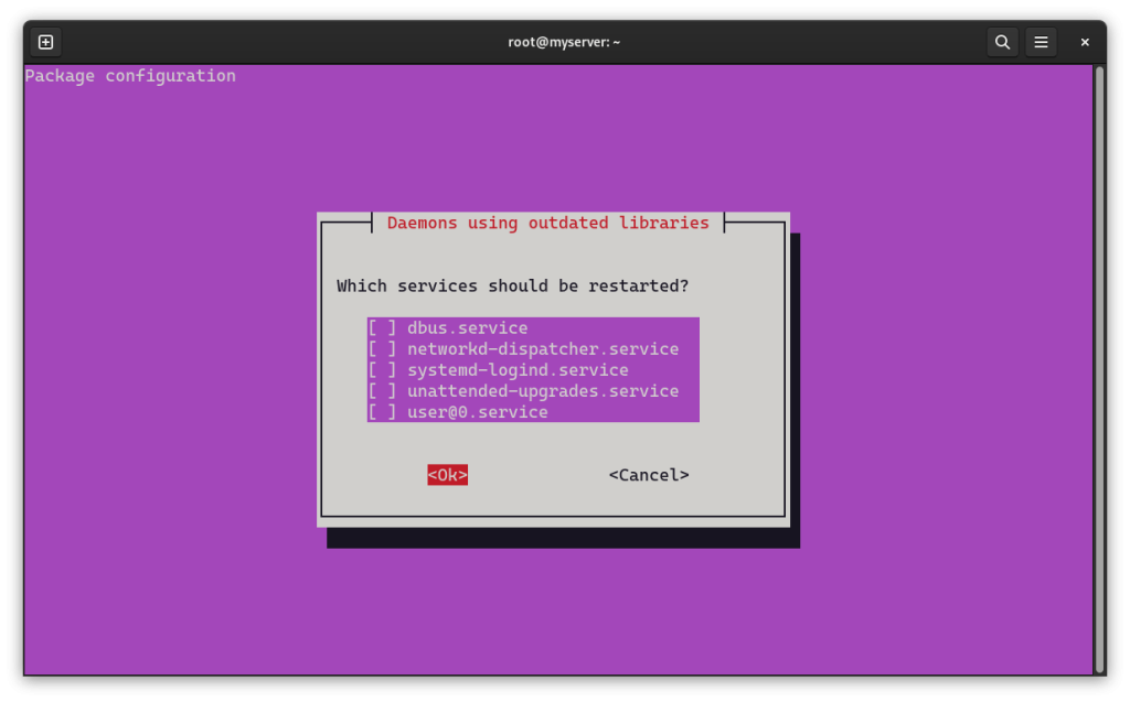 Daemon using outdated libraries on RunCloud.