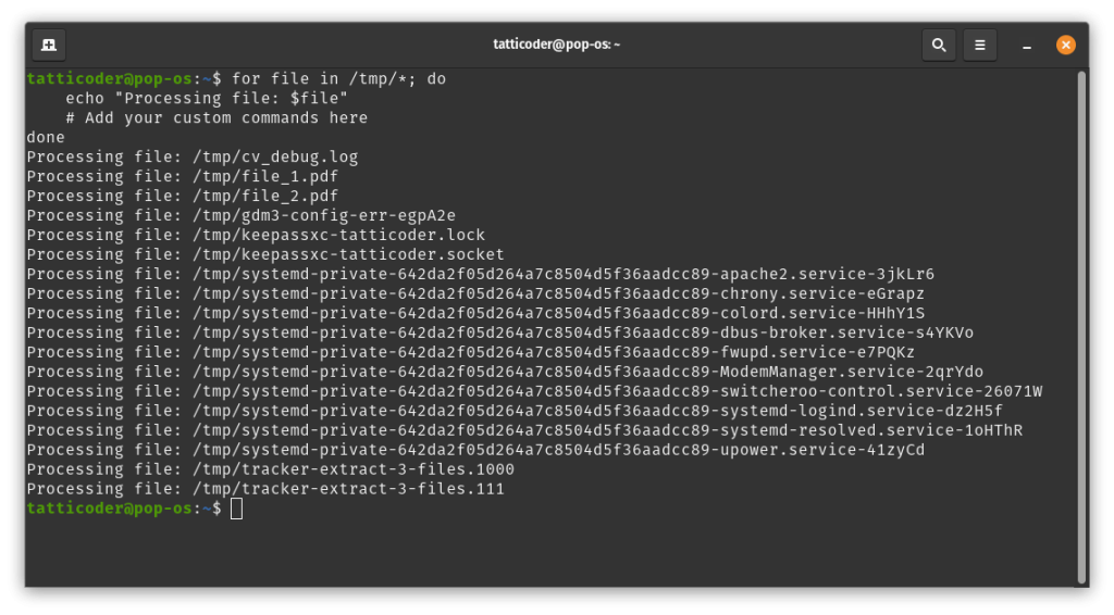 bash for loop file processing