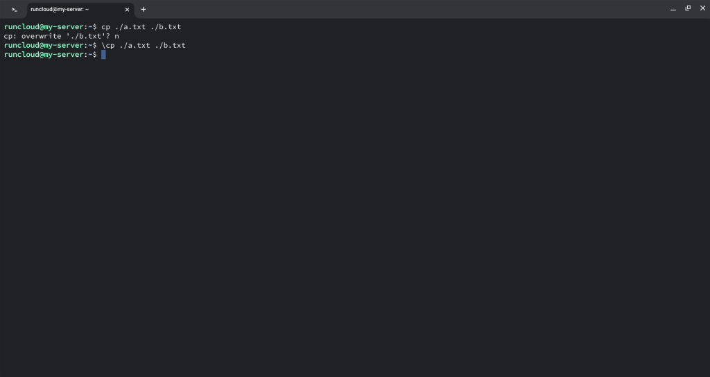 bypassing alias of copy commands
