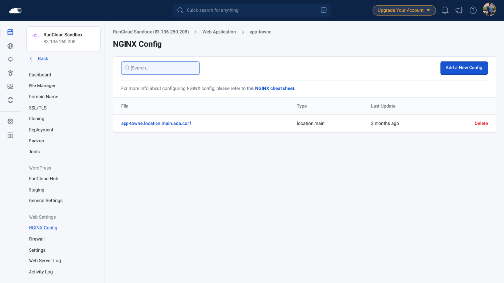 DNS error in Nginx config