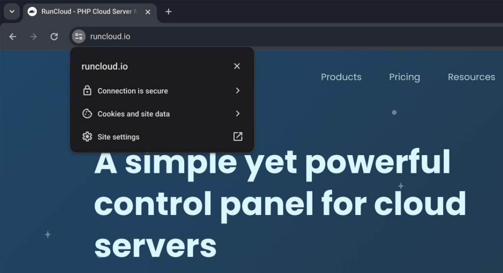 RunCloud website screenshot
