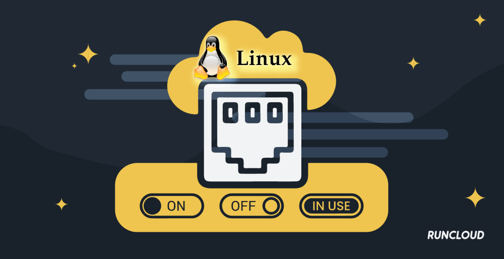 How to Check if TCP Port is Open, Closed or in Use on Linux?