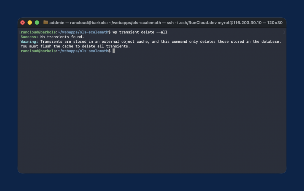 Terminal window showing WP-CLI commands used to delete expired transients and clean a WordPress database.