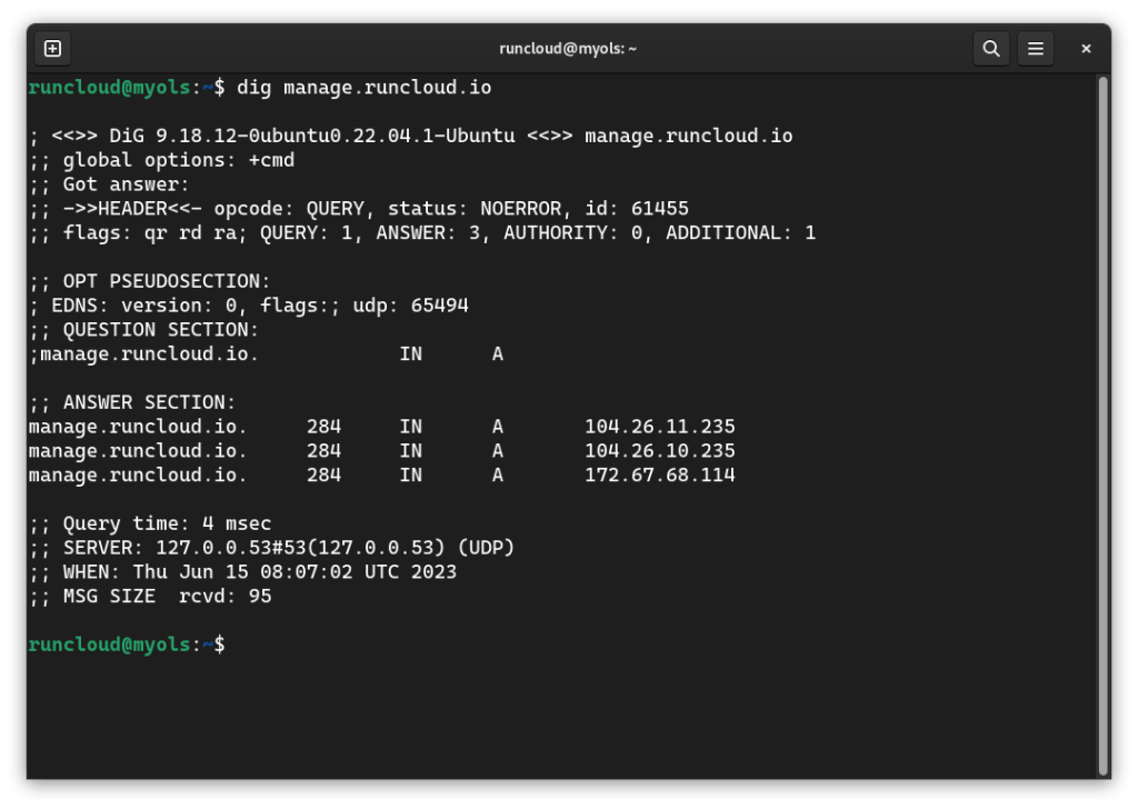 Successful DNS resolution using dig command to manage.runcloud.io
