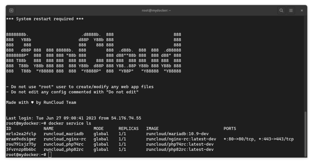 List Docker services on RunCloud