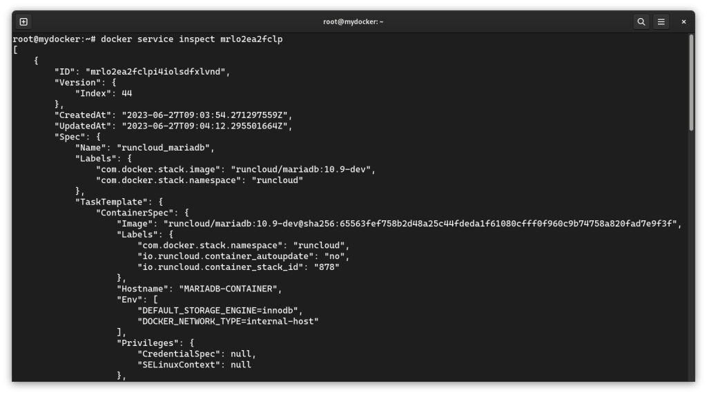 Inspect Docker services on RunCloud