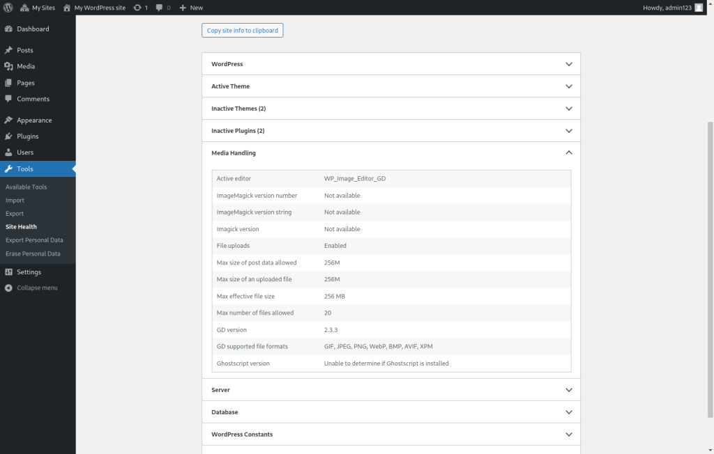 Screenshot of WordPress site health tool