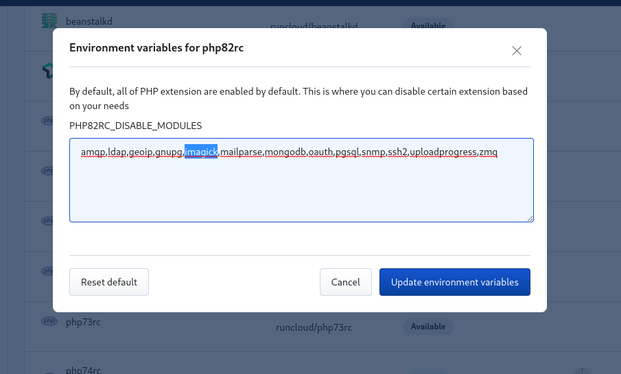 Screenshot of RunCloud environment variables form