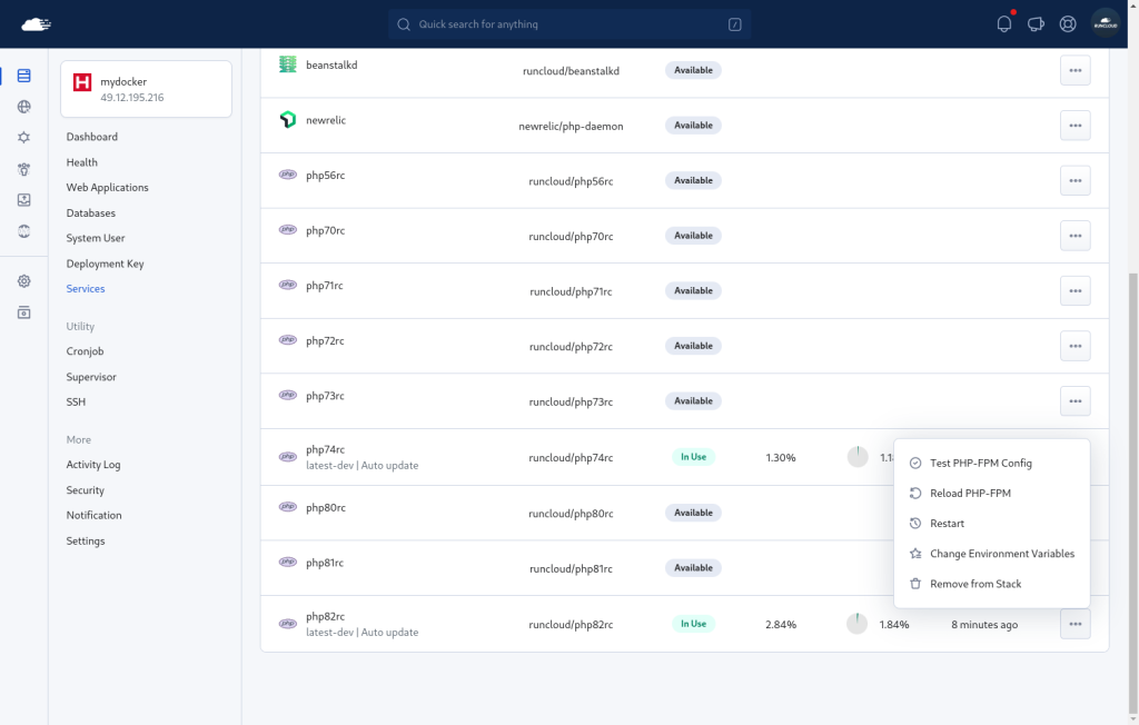 Screenshot of RunCloud services tab