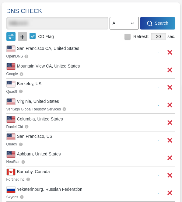 DNS propagation check