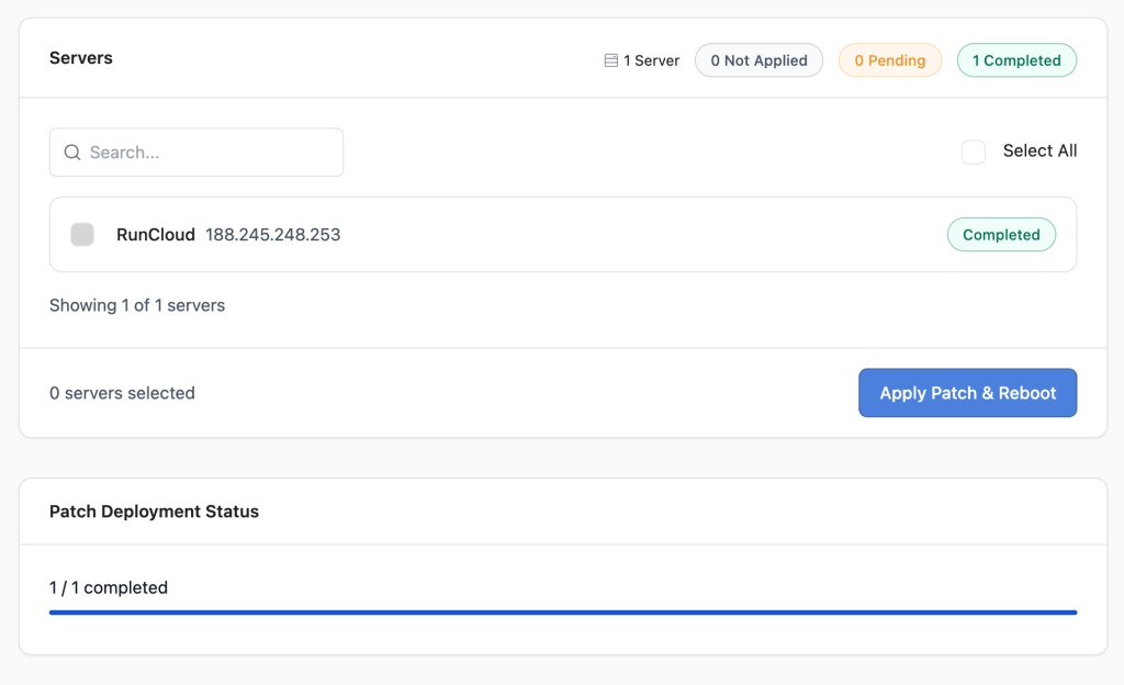 Patch details page showing the server status as Completed and the patch deployment progress at 1 of 1 servers completed.
