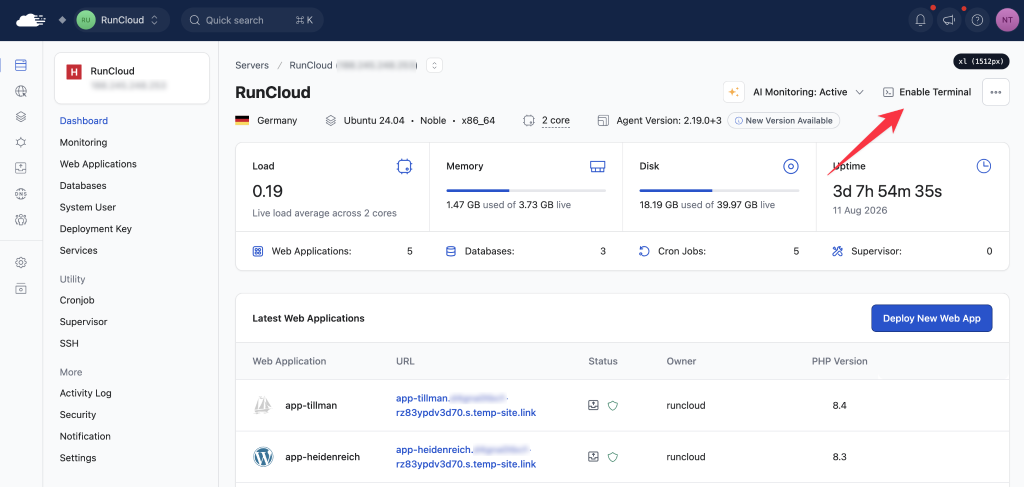 Enabling web terminal in RunCloud