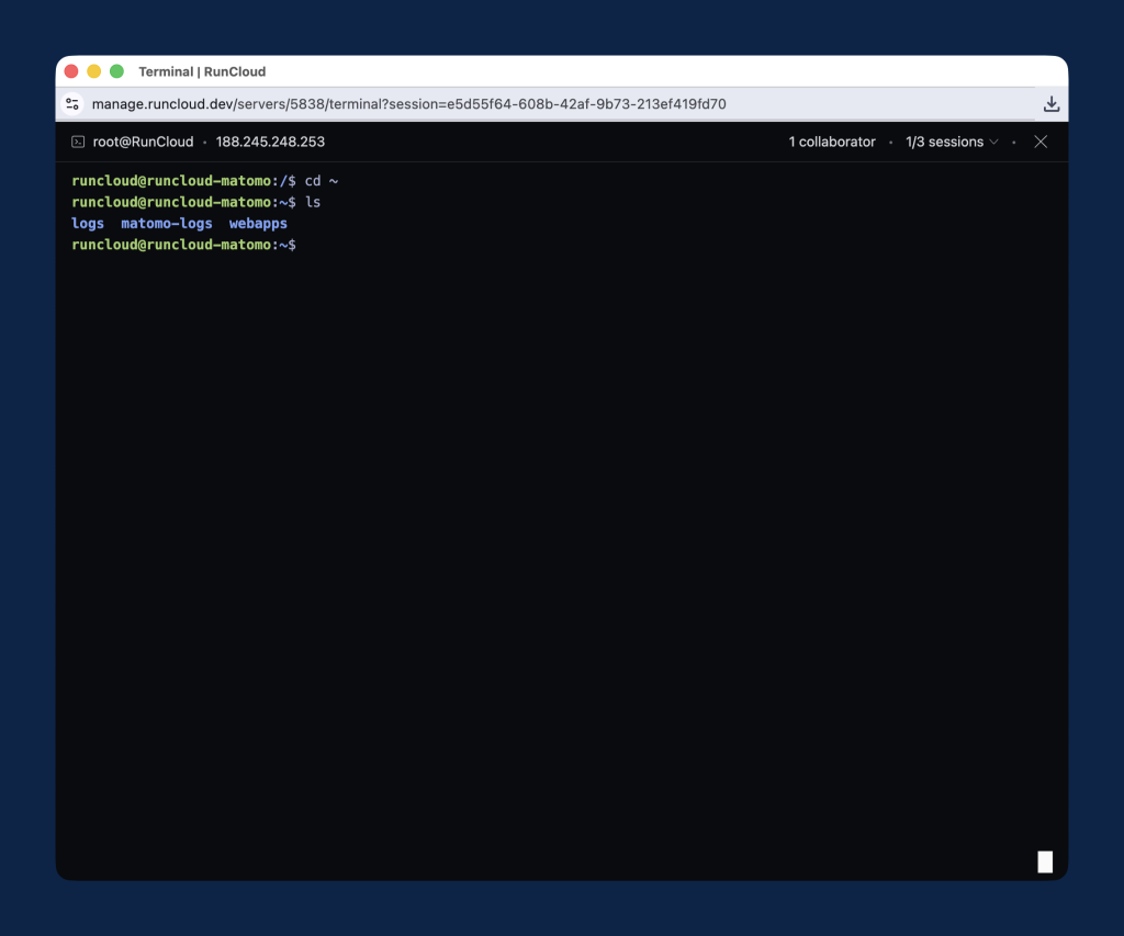 Accessing web terminal in RunCloud