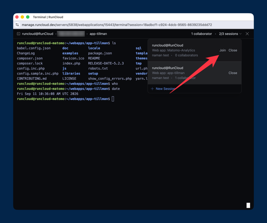 Join sessions in RunCloud web terminal